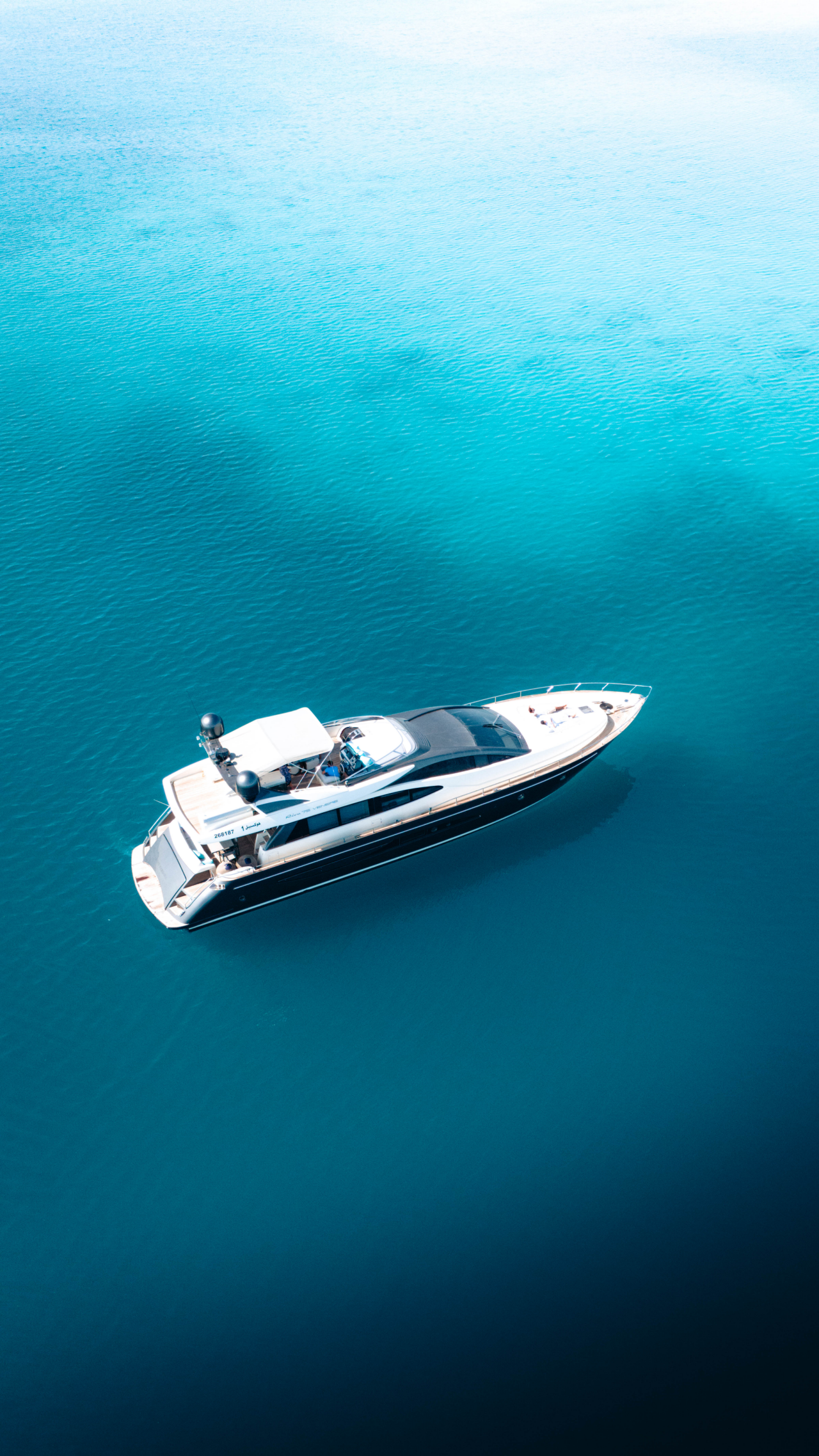 Car & Speed Boat/Yacht Transfer